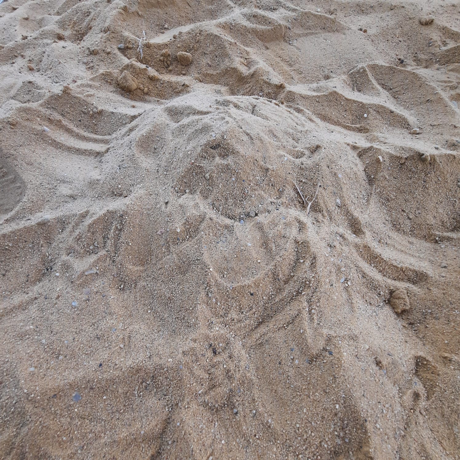 IMG-20231013-WA0055