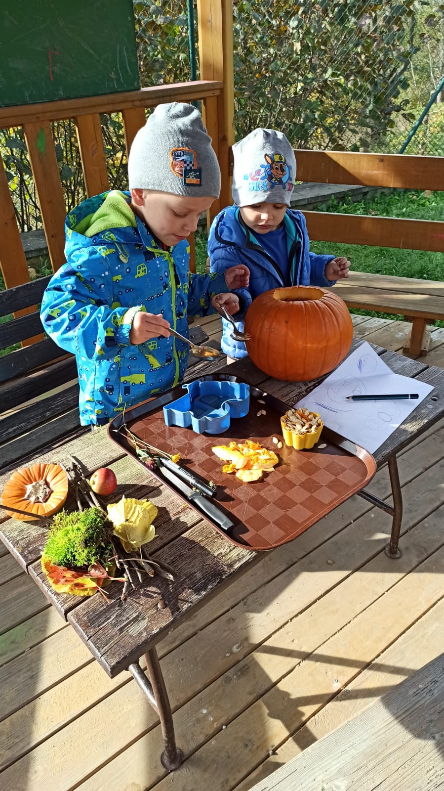 IMG-20231103-WA0168