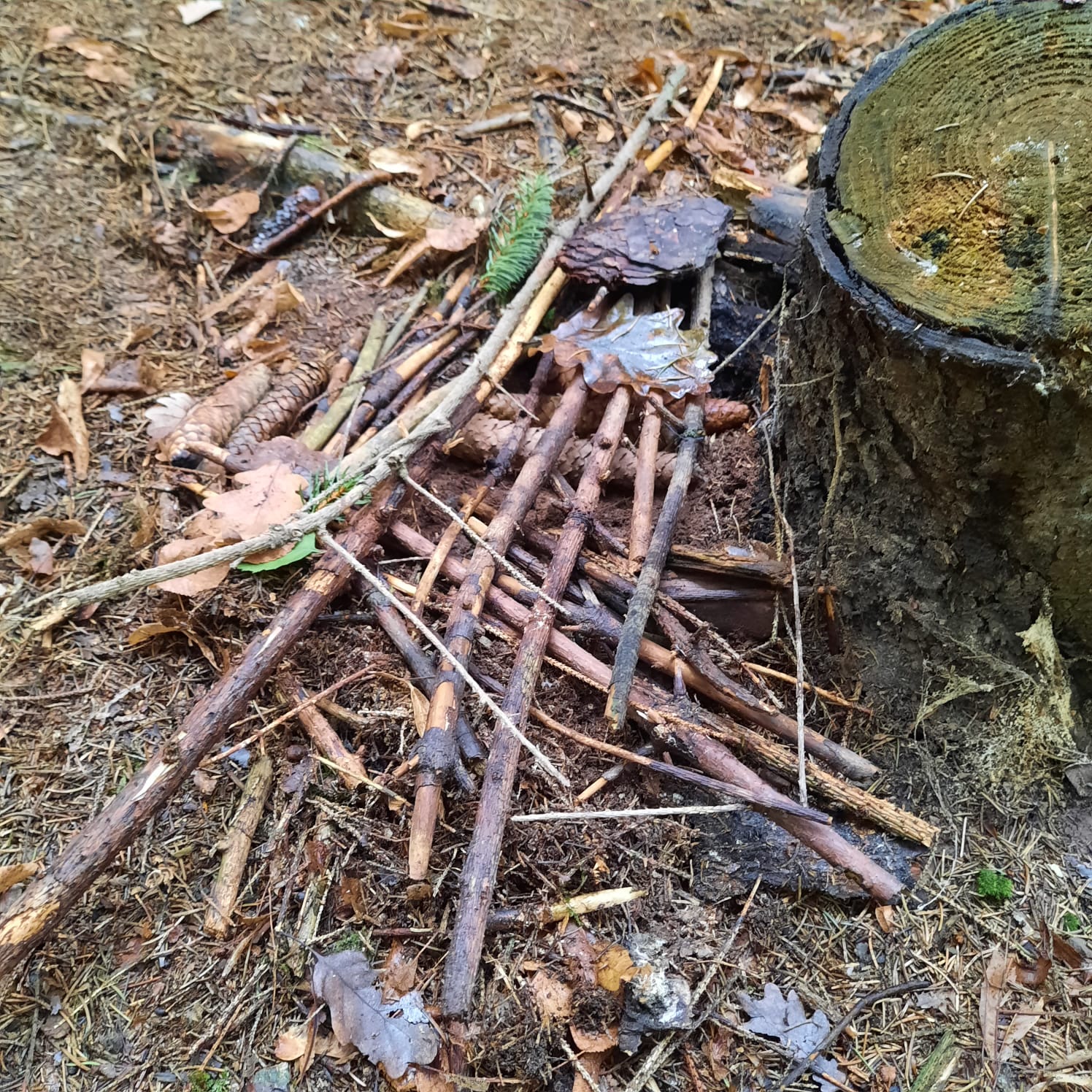 IMG-20231107-WA0037