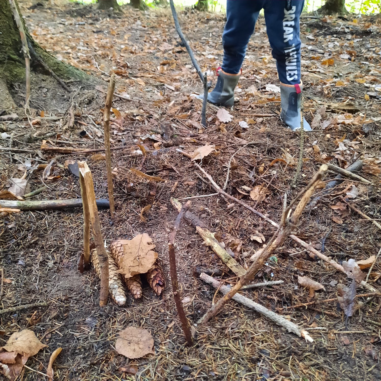 IMG-20231107-WA0035