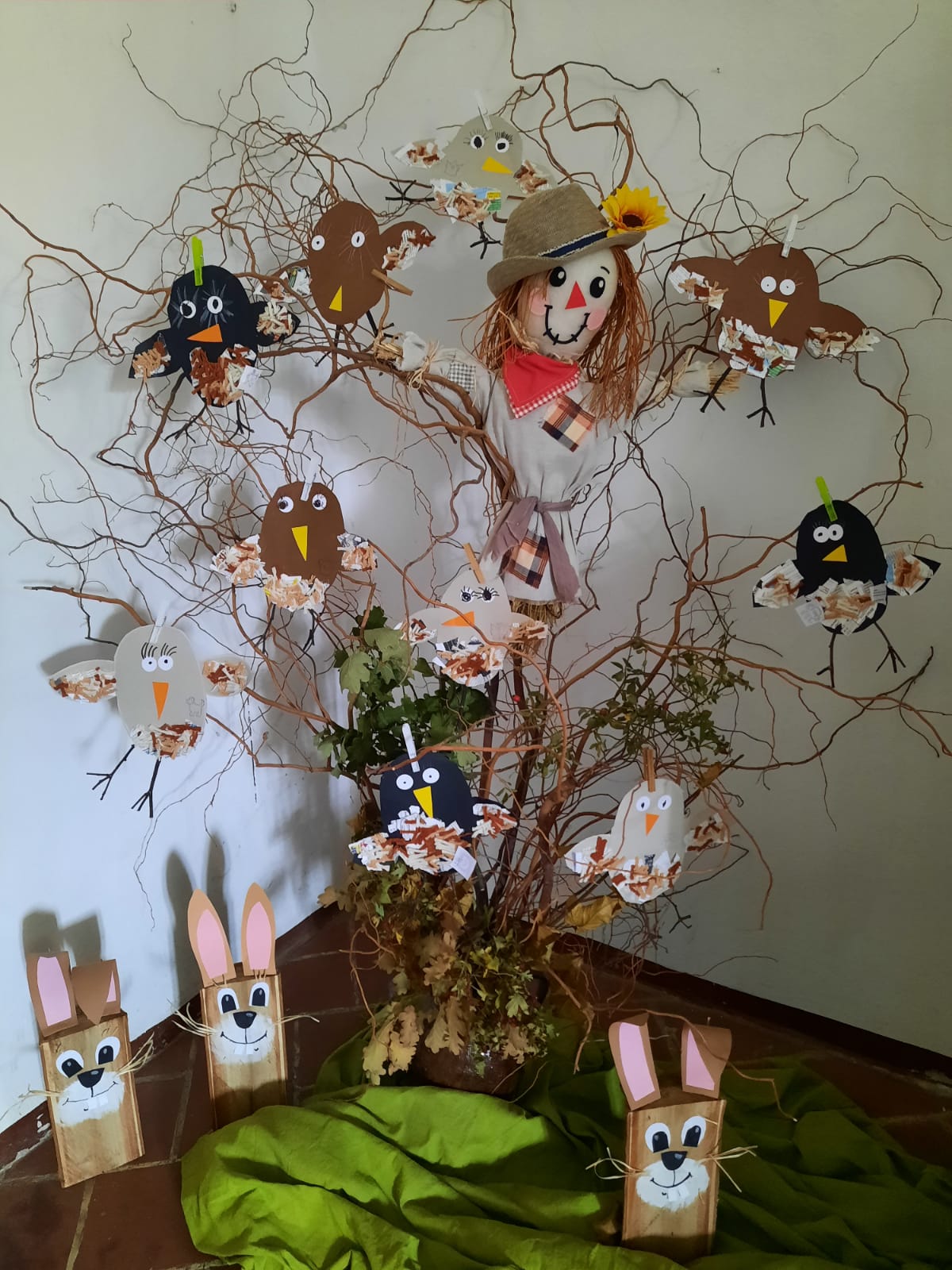 IMG-20231204-WA0055