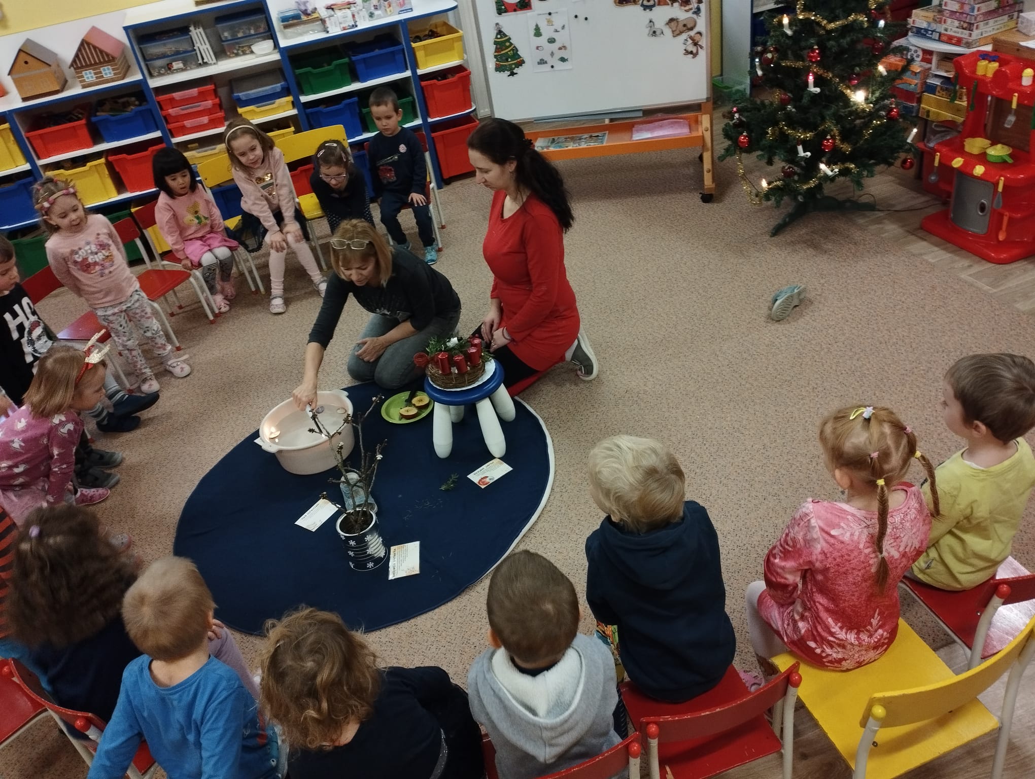 IMG-20231221-WA0005