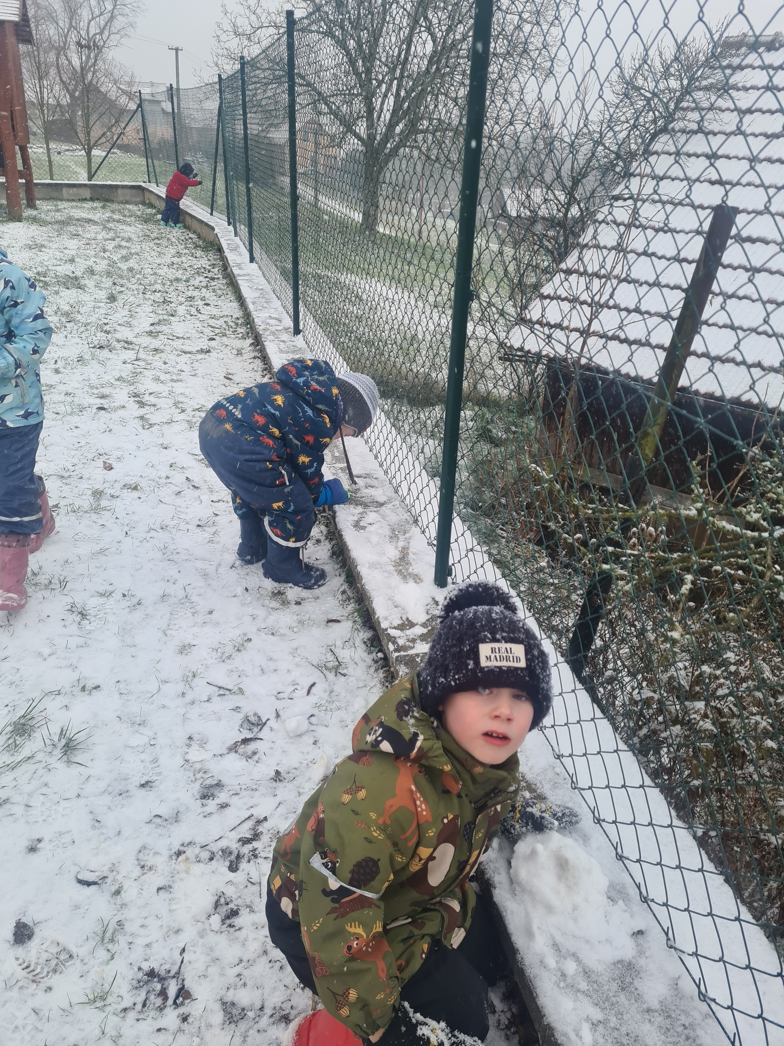 IMG-20241218-WA0169