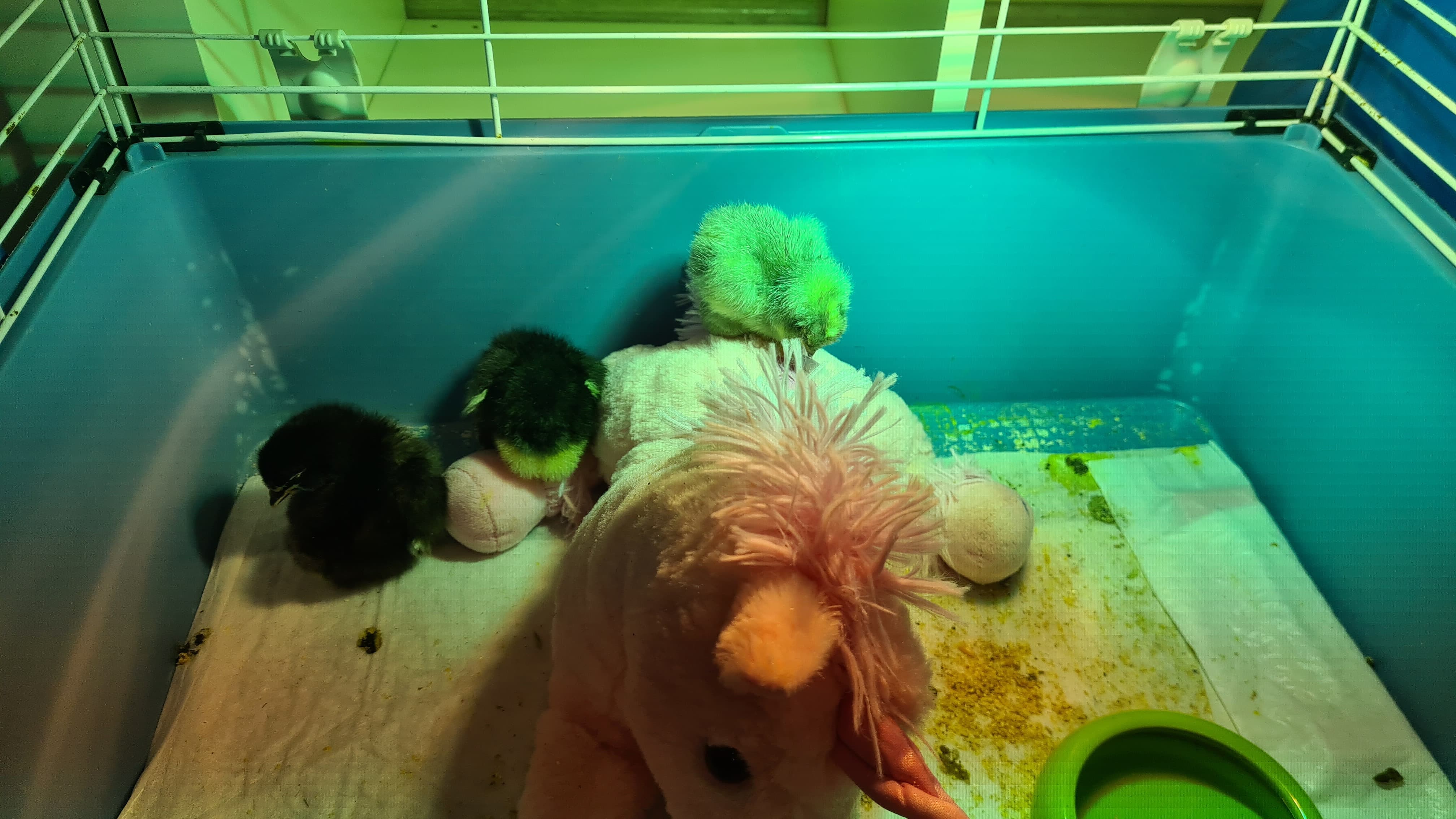IMG-20250618-WA0222