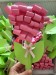 IMG-20250618-WA0018