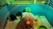 IMG-20250618-WA0222