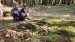 IMG-20250626-WA0097