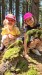IMG-20250626-WA0119