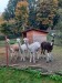 IMG-20251016-WA0018