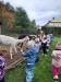 IMG-20251016-WA0019